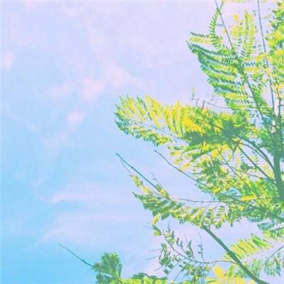 永恒修仙录官方版(暂未上线)v1.0.4 安卓版