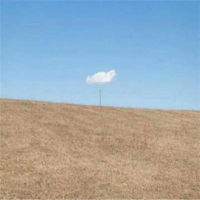 果宝特攻4热血机甲王破解版下载