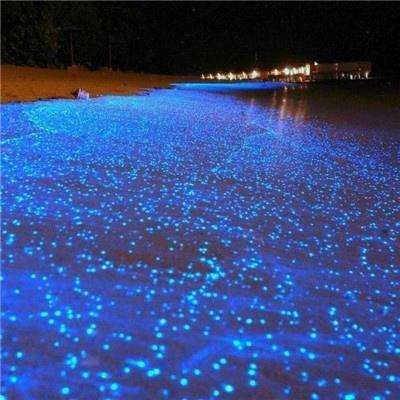 万古仙踪手游bt版下载